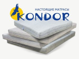 Kondor